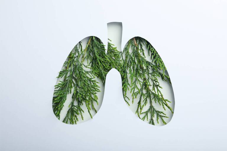 Tips for lungs healthy