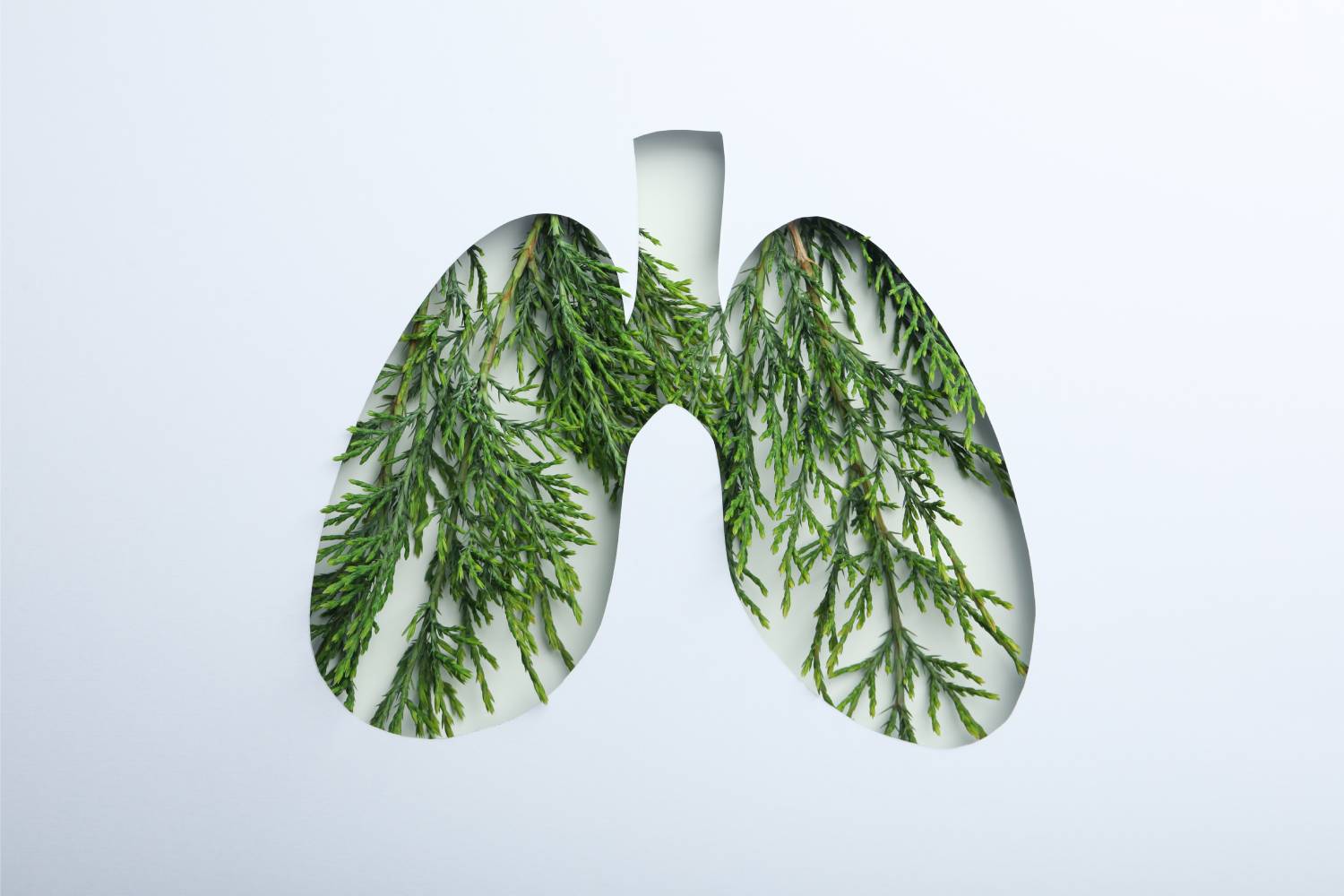 Breathe Easy: Tips for Maintaining Healthy Lungs - Ilumina health