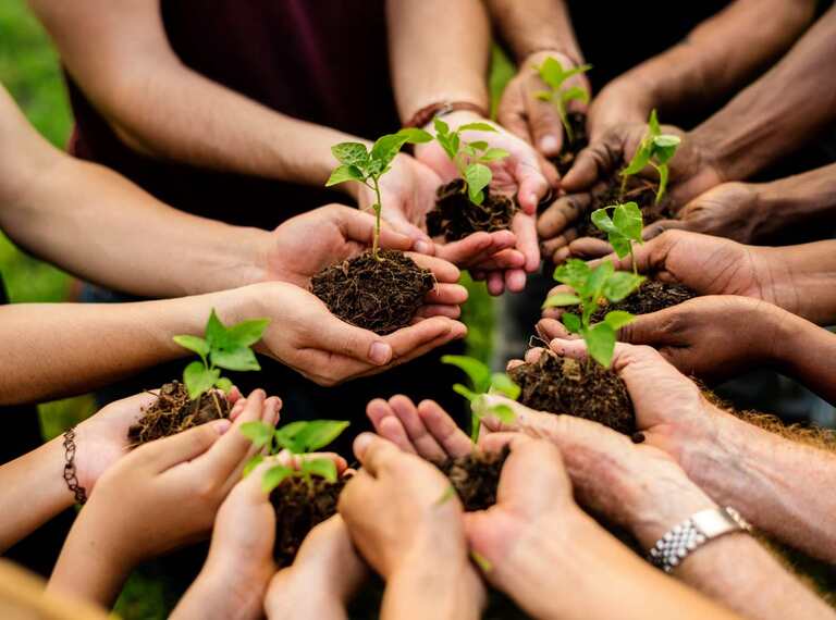 World Environment Day